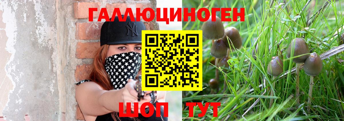 Псилоцибиновые грибы MAGIC MUSHROOMS Назрань